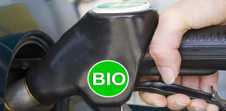 biopolttoaine3.jpg